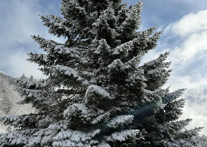 Lejlighedshotel Iskoe Chalets-hoetel, Col D'aubisque Gourette